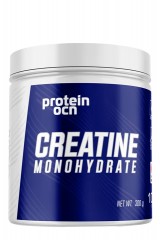 PROTEINOCEAN CREATINE 300 gr