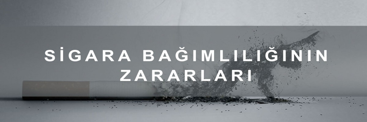 Sigara Bağımlılığı ve Zararları Sigara Bağımlılığı ve Zararları