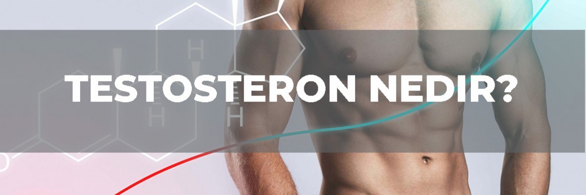 Testosteron Nedir ve Neden Önemli?